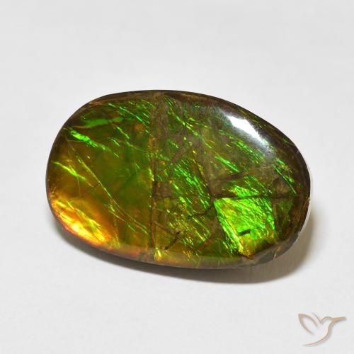 amolita Multicolor natural de 16.55 ct, Elegante, Opaco