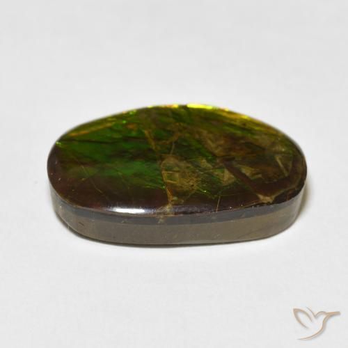 amolita Multicolor natural de 16.55 ct, Elegante, Opaco