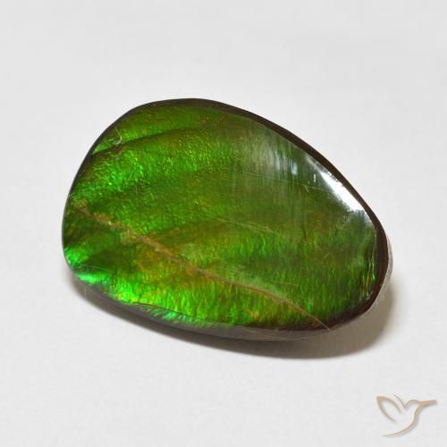 amolita Multicolor natural de 15.09 ct, Elegante, Opaco