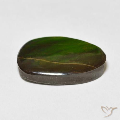 amolita Multicolor natural de 15.09 ct, Elegante, Opaco