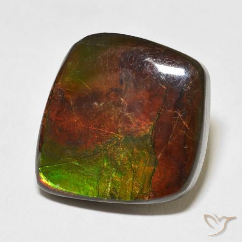 amolita Multicolor natural de 11.81 ct, Elegante, Opaco