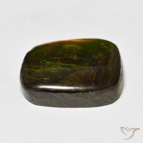 amolita Multicolor natural de 19.50 ct, Elegante, Opaco