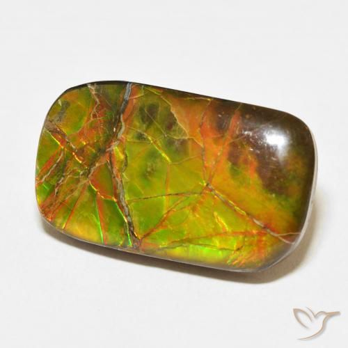 amolita Multicolor natural de 16.23 ct, Forma Cojín, Opaco