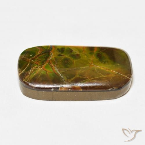amolita Multicolor natural de 16.23 ct, Forma Cojín, Opaco