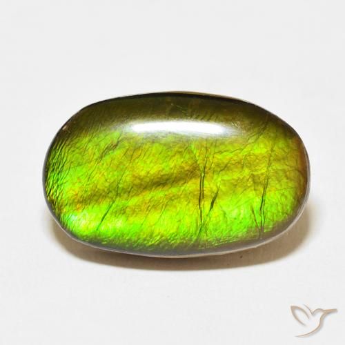 13.74ct Natural Multicolor amolita, Ovalada, Opaco