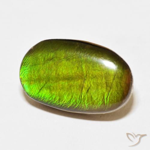 amolita Multicolor natural de 13.74 ct, Ovalada, Opaco