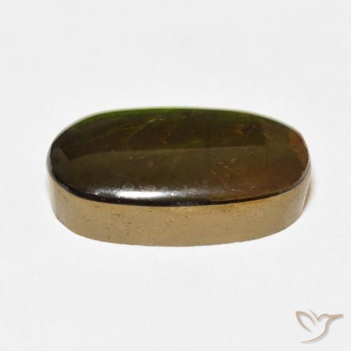 amolita Multicolor natural de 13.74 ct, Ovalada, Opaco