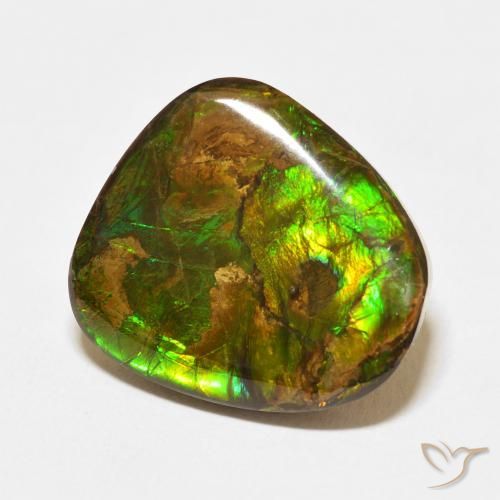 amolita Multicolor natural de 13.95 ct, Elegante, Opaco