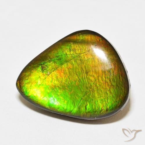 amolita Multicolor natural de 15.27 ct, Elegante, Opaco