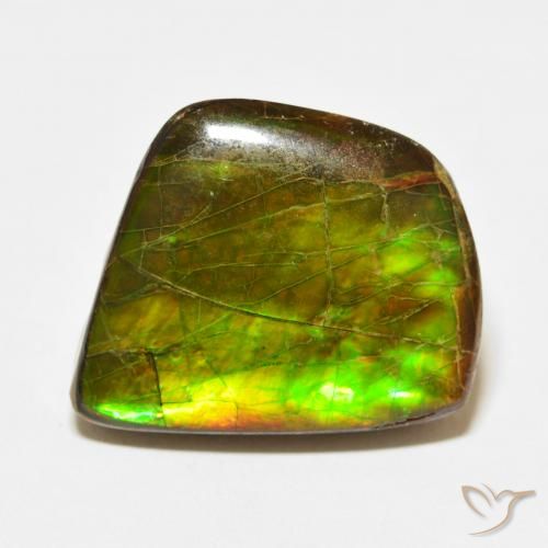 21.56ct Natural Multicolor amolita, Elegante, Opaco