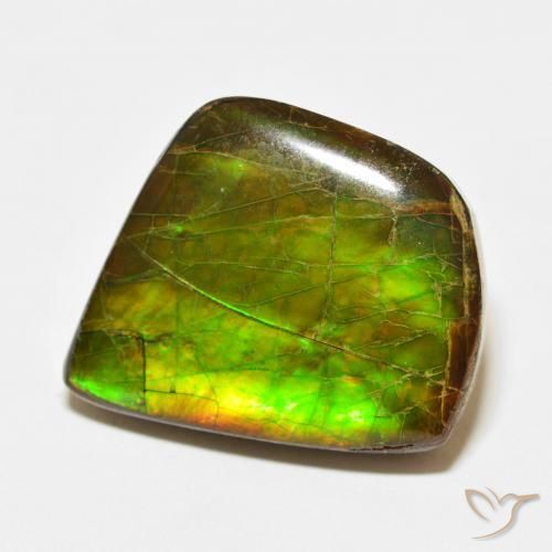 amolita Multicolor natural de 21.56 ct, Elegante, Opaco