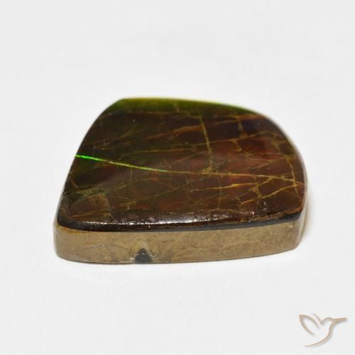 amolita Multicolor natural de 21.56 ct, Elegante, Opaco