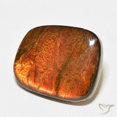 amolita Multicolor natural de 14.15 ct, Elegante, Opaco