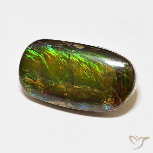 amolita Multicolor natural de 12.73 ct, Elegante, Opaco
