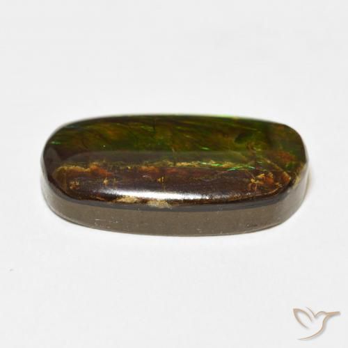 amolita Multicolor natural de 12.73 ct, Elegante, Opaco