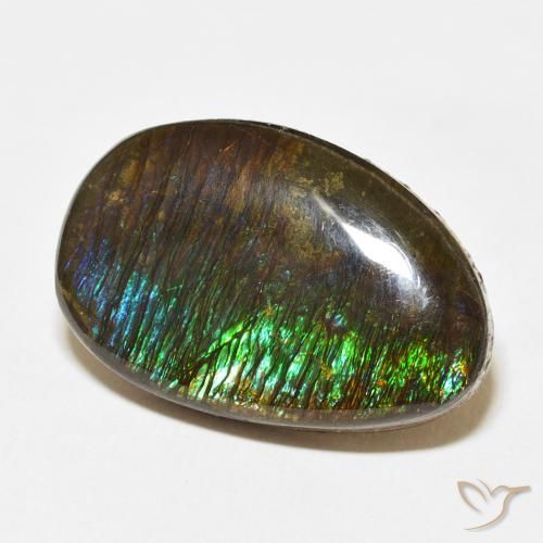 amolita Multicolor natural de 14.24 ct, Elegante, Opaco