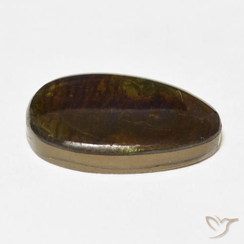 amolita Multicolor natural de 14.24 ct, Elegante, Opaco