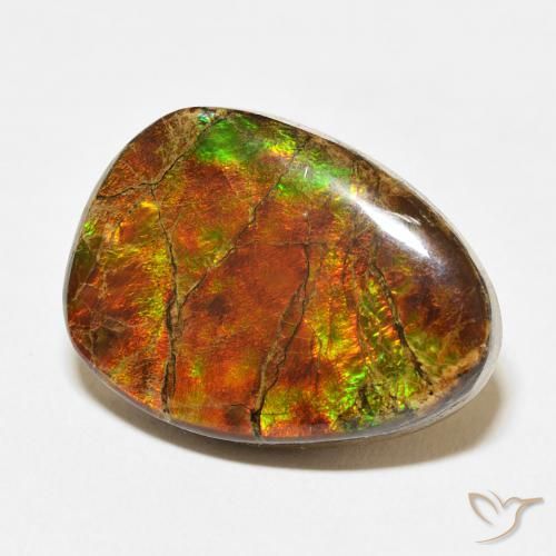amolita Multicolor natural de 15.07 ct, Elegante, Opaco