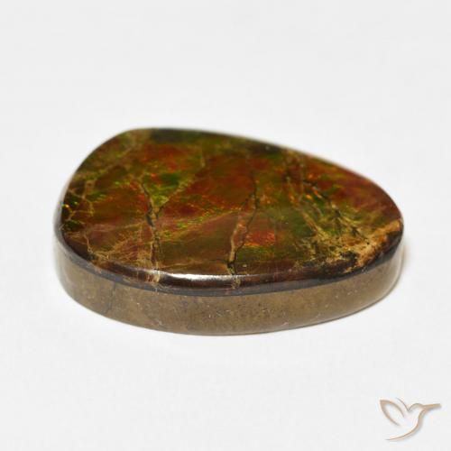 amolita Multicolor natural de 15.07 ct, Elegante, Opaco