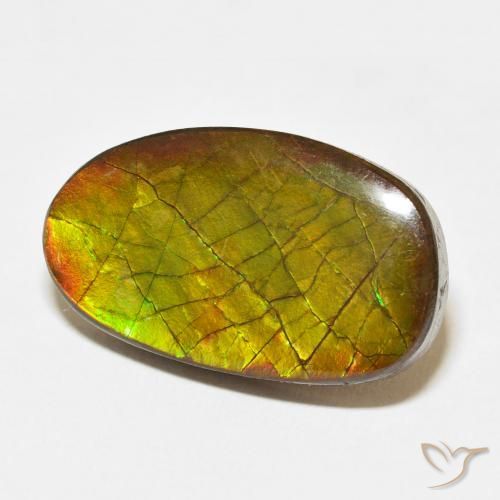 amolita Multicolor natural de 13.58 ct, Elegante, Opaco