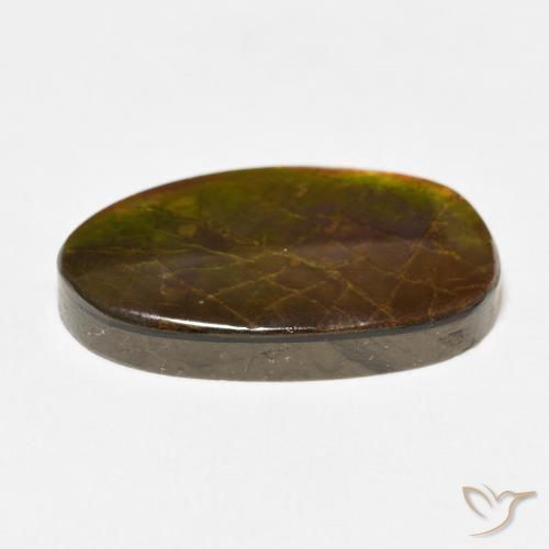 amolita Multicolor natural de 13.58 ct, Elegante, Opaco