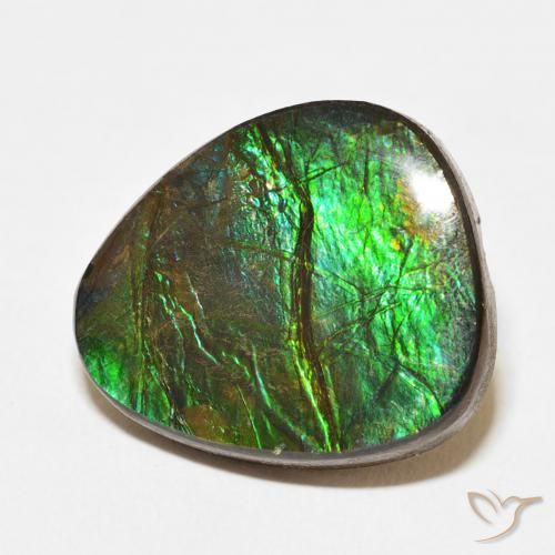 amolita Multicolor natural de 12.67 ct, Elegante, Opaco