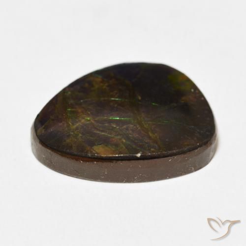 amolita Multicolor natural de 12.67 ct, Elegante, Opaco