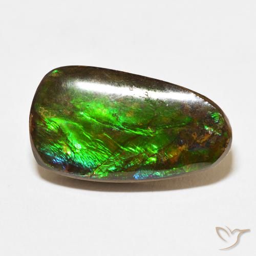12.15ct Natural Multicolor amolita, Elegante, Opaco