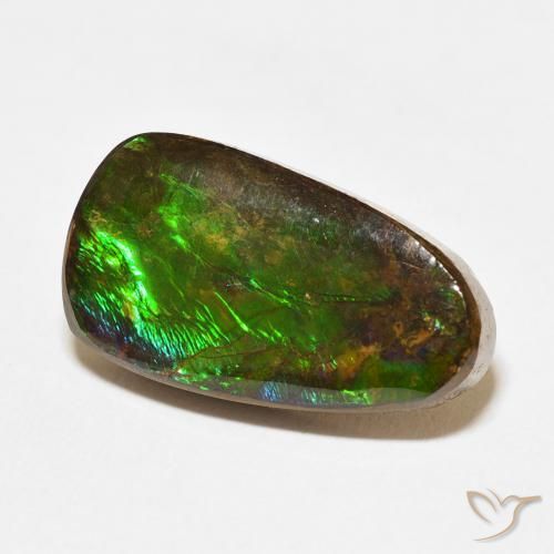 amolita Multicolor natural de 12.15 ct, Elegante, Opaco