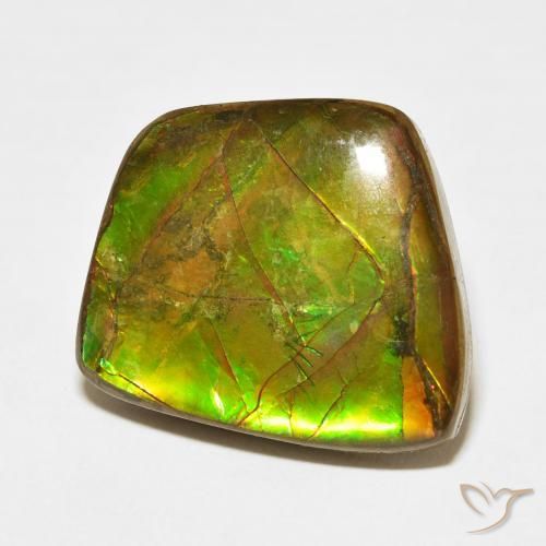 amolita Multicolor natural de 17.11 ct, Elegante, Opaco