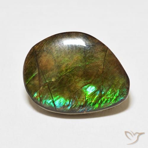 11.66ct Natural Multicolor amolita, Elegante, Opaco