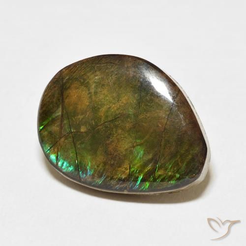 amolita Multicolor natural de 11.66 ct, Elegante, Opaco