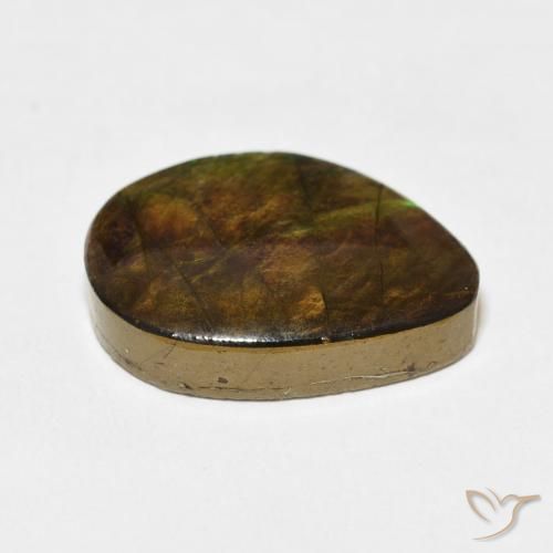 amolita Multicolor natural de 11.66 ct, Elegante, Opaco