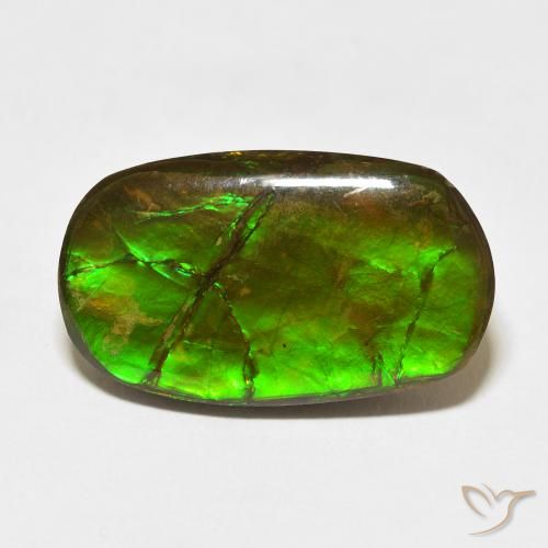18.47ct Natural Multicolor amolita, Elegante, Opaco