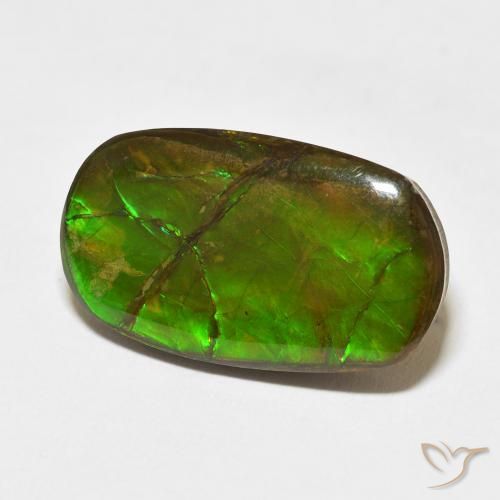 amolita Multicolor natural de 18.47 ct, Elegante, Opaco