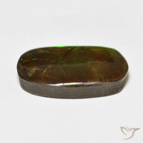 amolita Multicolor natural de 18.47 ct, Elegante, Opaco