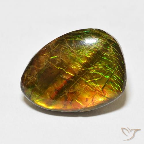12.20ct Natural Multicolor amolita, Elegante, Opaco