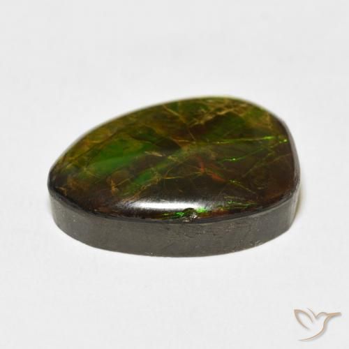 amolita Multicolor natural de 12.20 ct, Elegante, Opaco