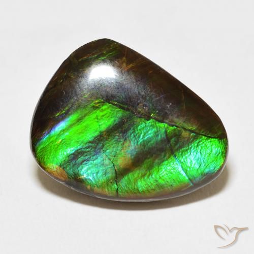 11.84ct Natural Multicolor amolita, Elegante, Opaco