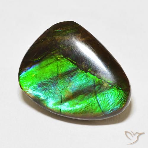 amolita Multicolor natural de 11.84 ct, Elegante, Opaco