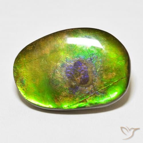 21.49ct Natural Multicolor amolita, Elegante, Opaco