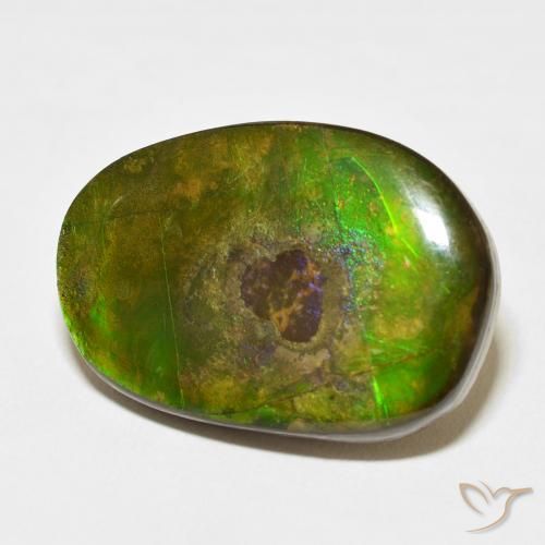 amolita Multicolor natural de 21.49 ct, Elegante, Opaco