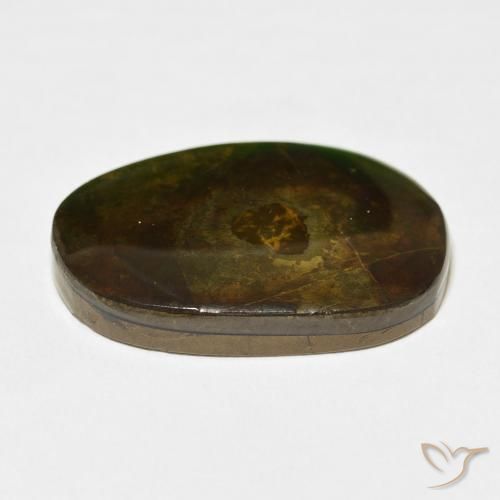 amolita Multicolor natural de 21.49 ct, Elegante, Opaco