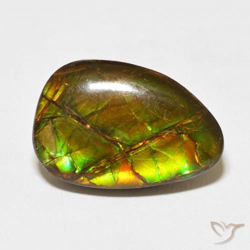 11.07ct Natural Multicolor amolita, Elegante, Opaco