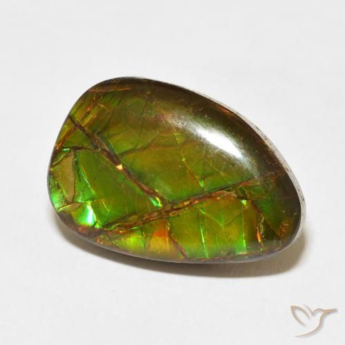 amolita Multicolor natural de 11.07 ct, Elegante, Opaco