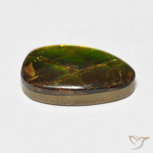 amolita Multicolor natural de 11.07 ct, Elegante, Opaco