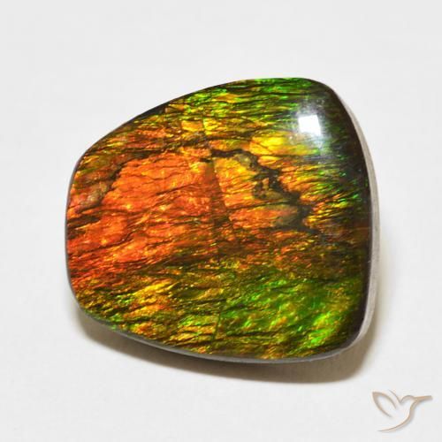 amolita Multicolor natural de 11.47 ct, Elegante, Opaco