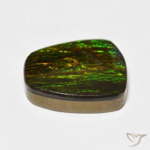 amolita Multicolor natural de 11.47 ct, Elegante, Opaco