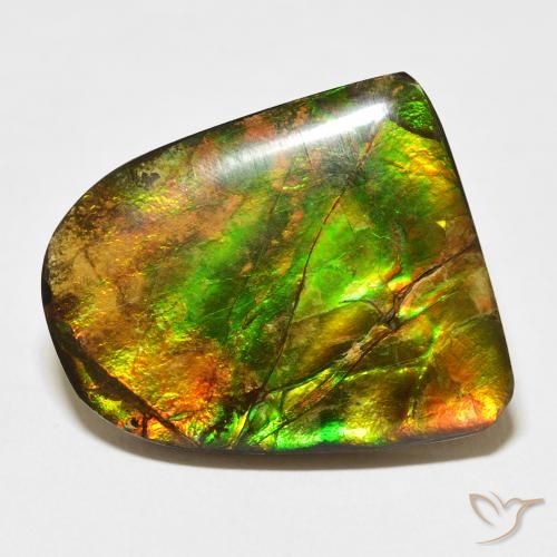 20.38ct Natural Multicolor amolita, Elegante, Opaco