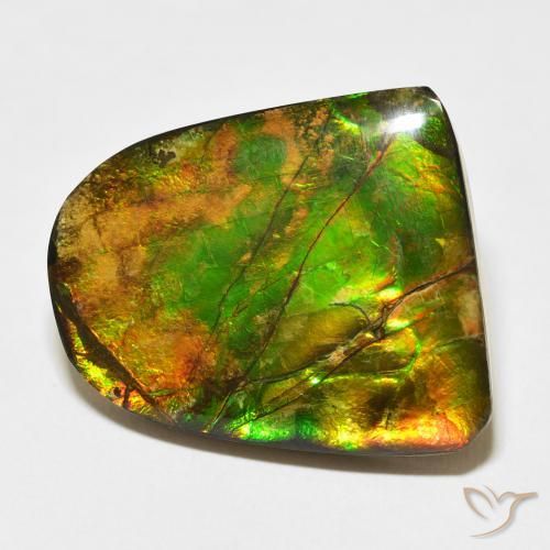 amolita Multicolor natural de 20.38 ct, Elegante, Opaco